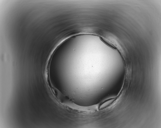 X0000093420908200710191003