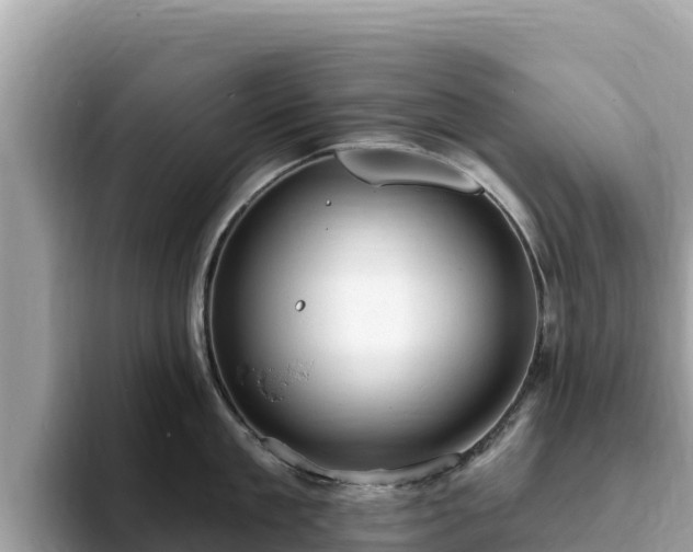 X0000093420909200710191003