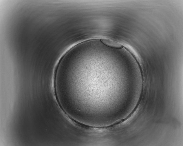 X0000093420910200710191003