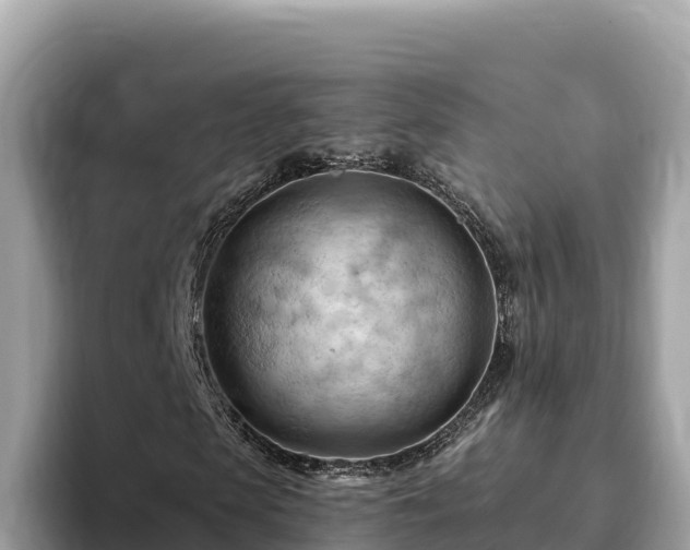 X0000093420913200710191002