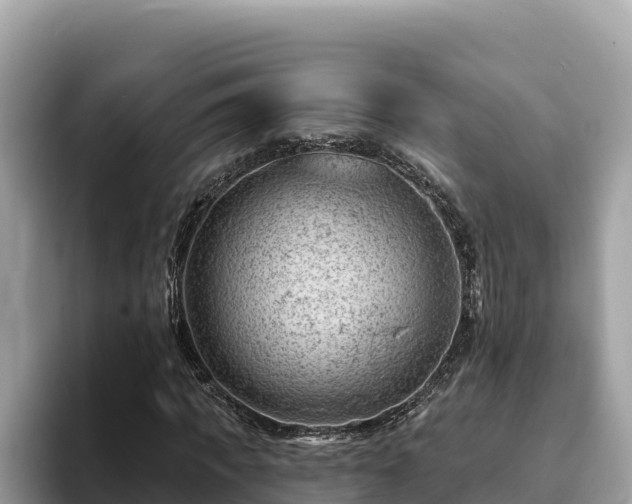 X0000093420917200710191002