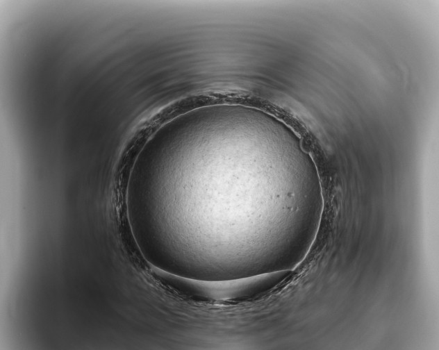 X0000093420920200710191002
