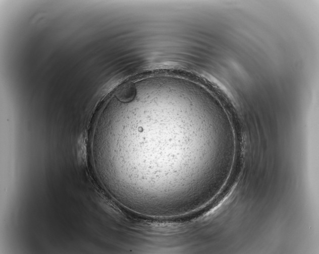 X0000093420921200710191002