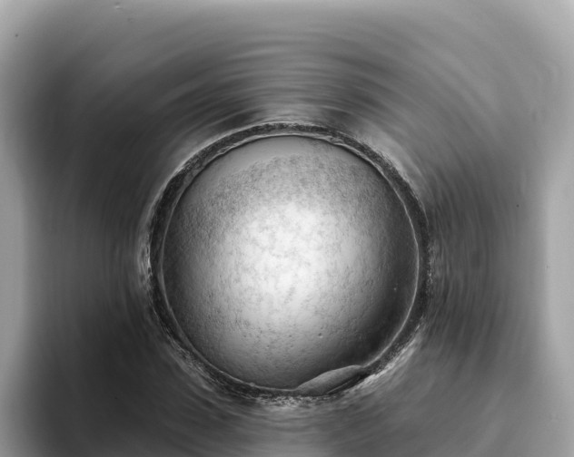 X0000093420923200710191002