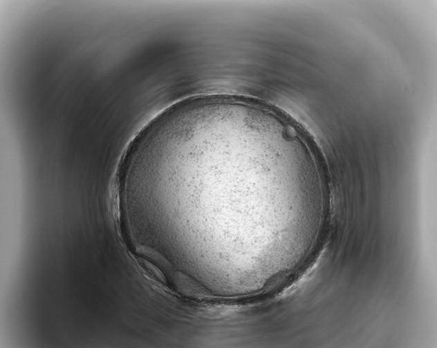 X0000093420925200710191002
