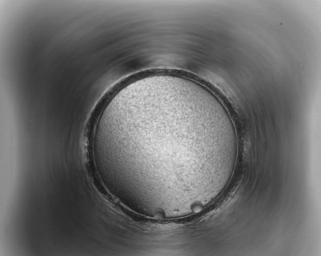 X0000093420926200710191002