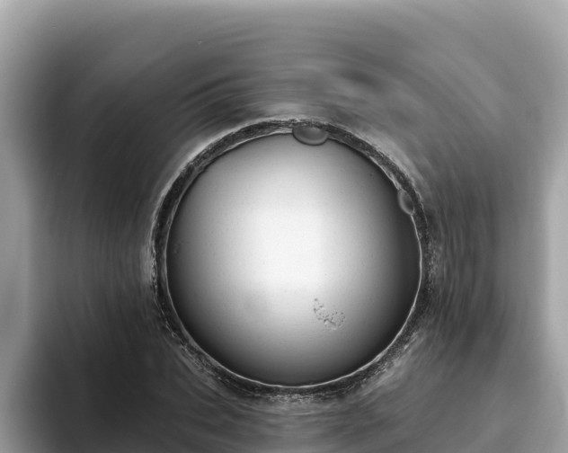 X0000093420927200710191002