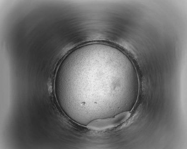 X0000093420929200710191002