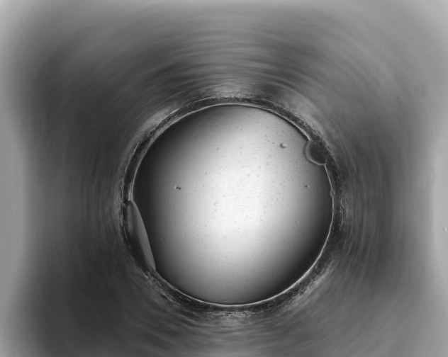 X0000093420930200710191002