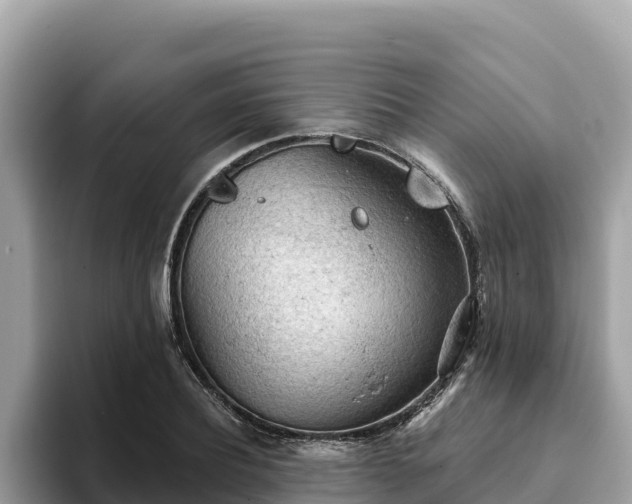 X0000093420932200710191002