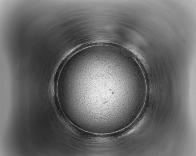 X0000093420933200710191002