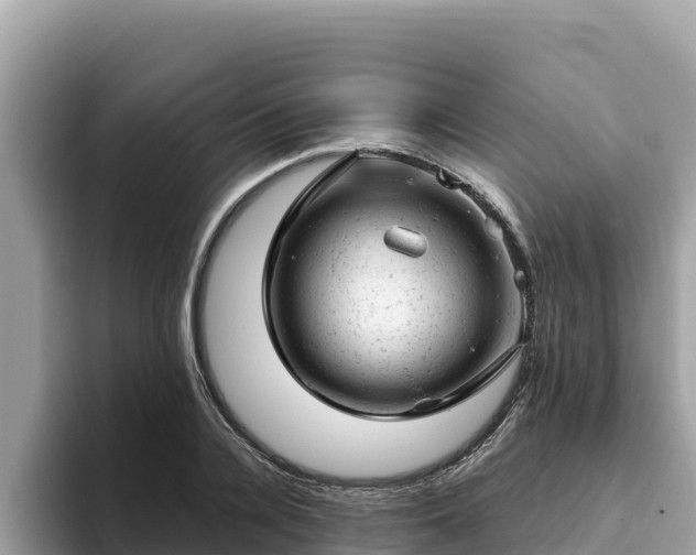 X0000093420936200710191002