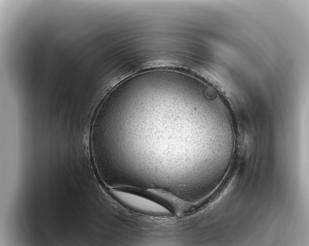 X0000093420937200710191002
