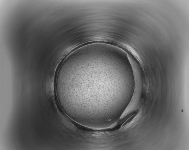 X0000093420938200710191002