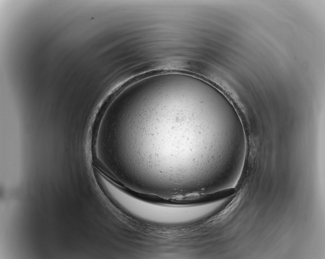 X0000093420939200710191002