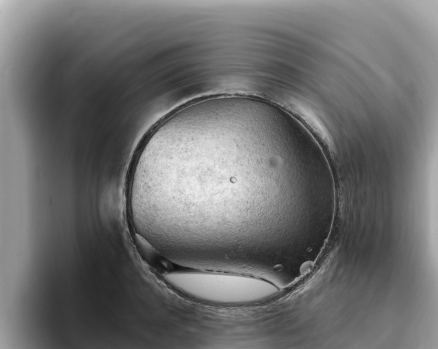 X0000093420944200710191002
