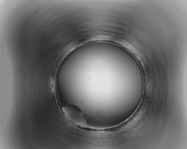 X0000093420945200710191002