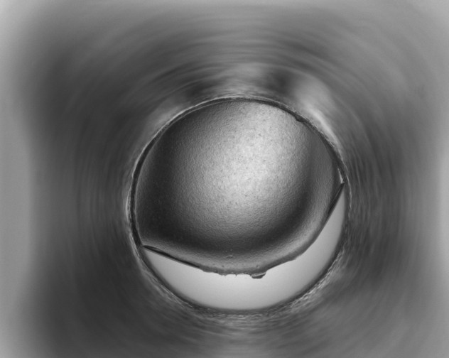 X0000093420946200710191002