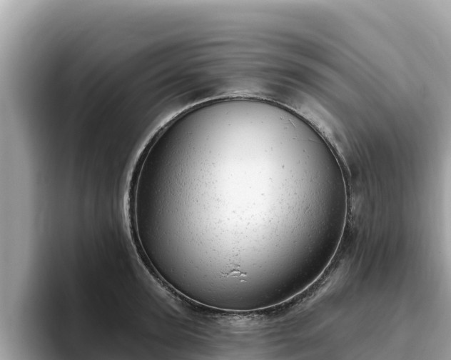 X0000093420947200710191002