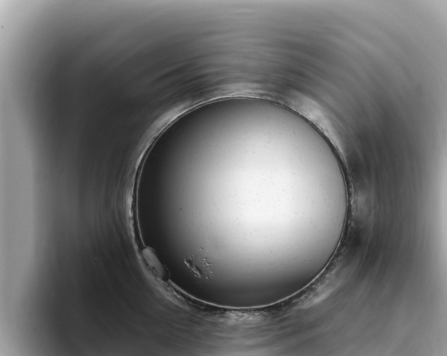 X0000093420954200710191003