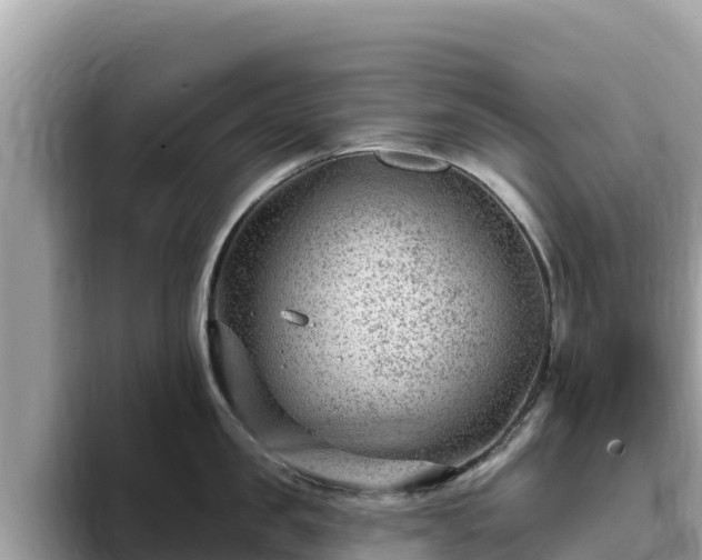 X0000093420957200710191003