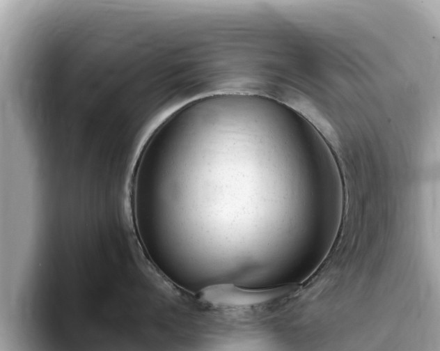 X0000093420960200710191003