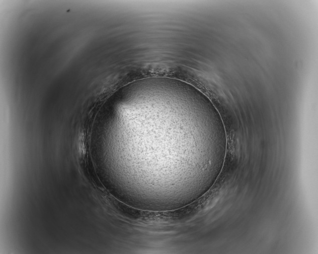X0000093420962200710191002