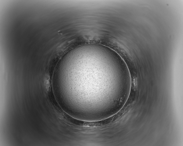 X0000093420963200710191002