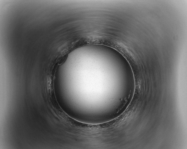 X0000093420964200710191002