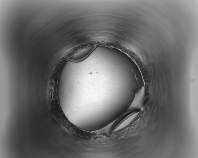 X0000093420968200710191002