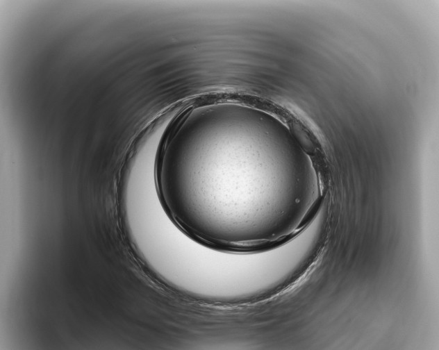 X0000093420969200710191002