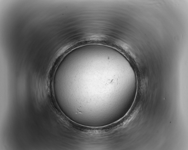 X0000093420970200710191002