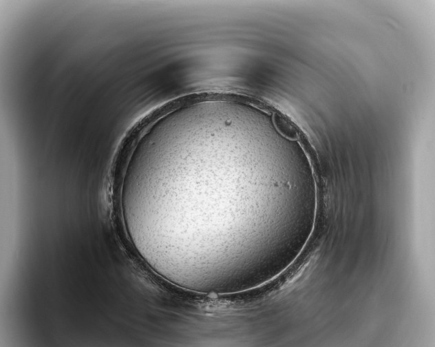 X0000093420971200710191002