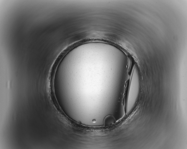 X0000093420976200710191002