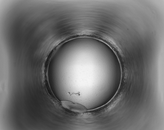 X0000093420978200710191002