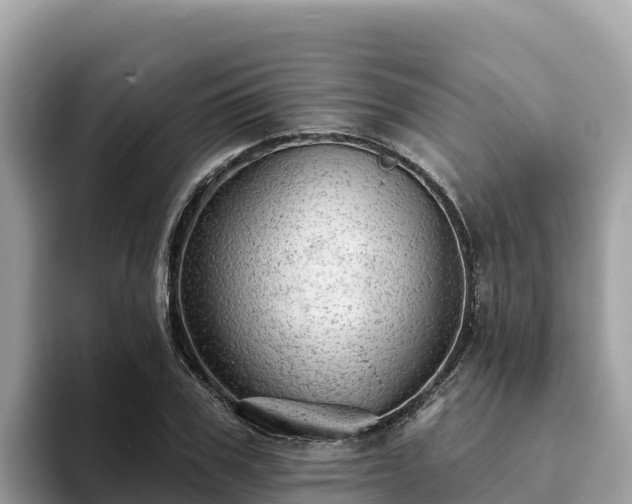 X0000093420979200710191002