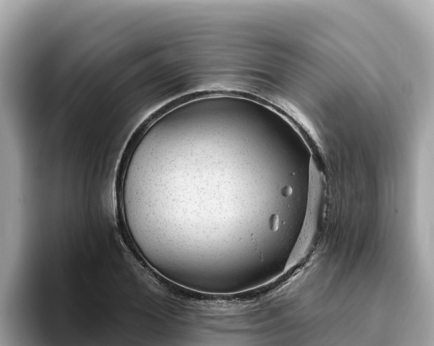 X0000093420980200710191002