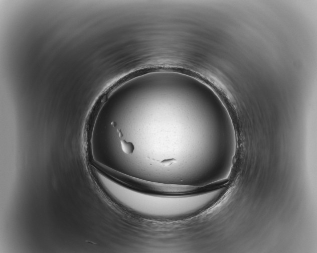 X0000093420981200710191002