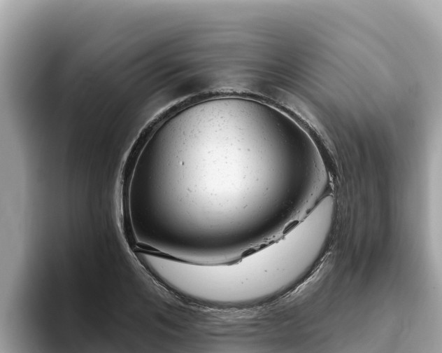 X0000093420984200710191002