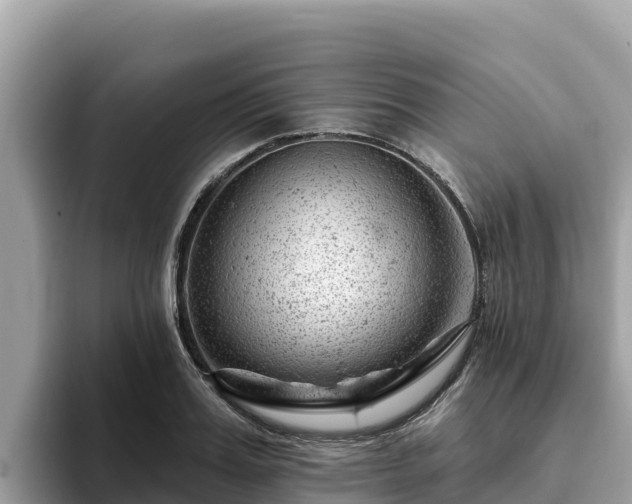 X0000093420987200710191002