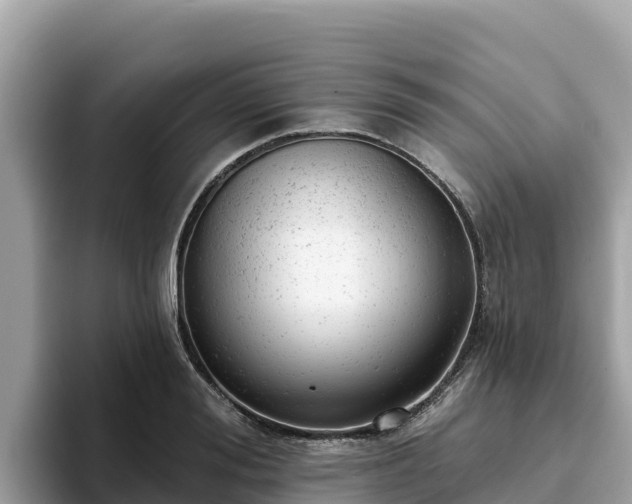 X0000093420988200710191002