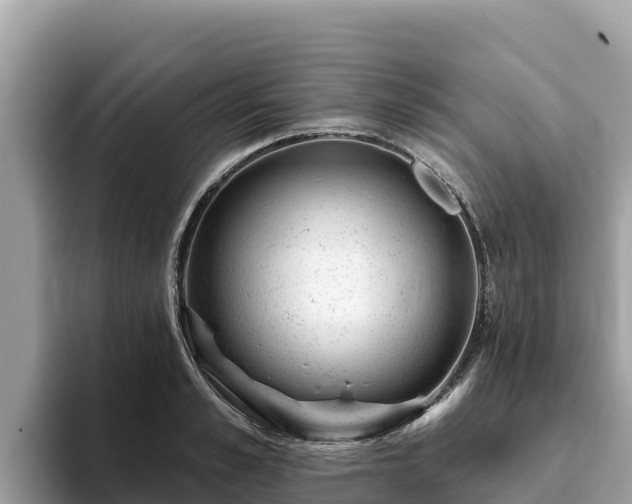 X0000093420989200710191002