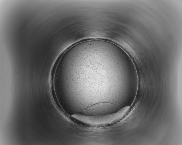 X0000093420990200710191002