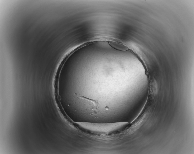 X0000093420995200710191002
