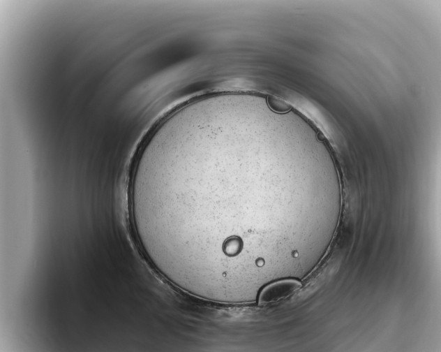 X0000093421000200710191001