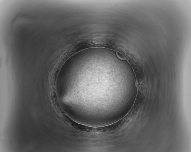 X0000093421009200710191001