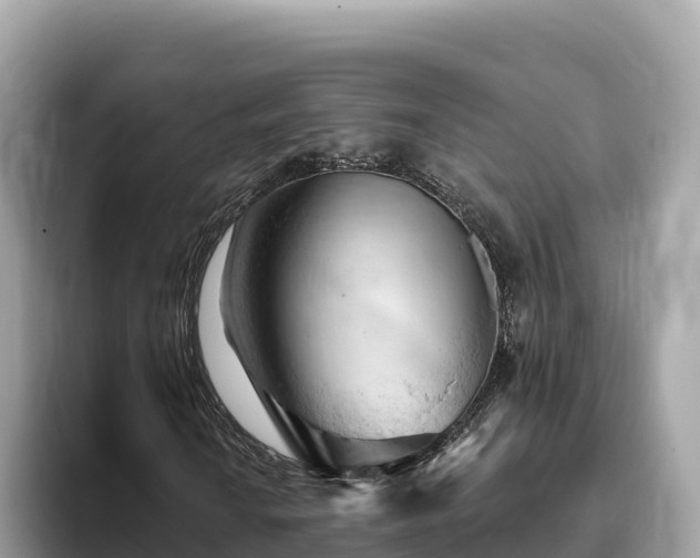X0000093421010200710191001