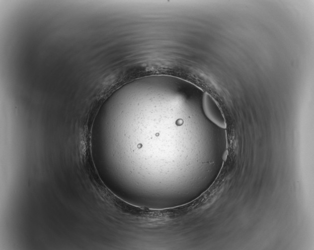 X0000093421012200710191001