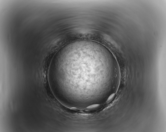 X0000093421013200710191001