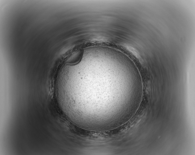 X0000093421015200710191001